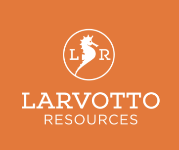 Larvotto achieves 90% tungsten recovery at Hillgrove project